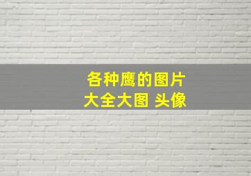 各种鹰的图片大全大图 头像